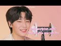 Things stray kids say that seems like fake subs but aren't