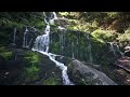 Healing Music-Comfortable music, music and video that heal the mind and body for 10 minutes a day