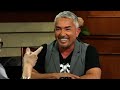 Cesar Millan on How He Became the 'Dog Whisperer' + Tips & Tricks