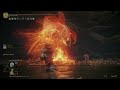 Beating Malenia first try on ng+14 solo with mimic tear.