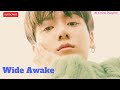 Wide Awake | Jungkook AI | Original by: Katy Perry