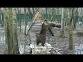 Watch a bear REPAIR someones house