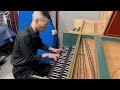 Bach: Harpsichord Concerto No. 1 in D Minor (BWV 1052) Solo Performance by Broque Musician