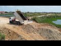 The Processing Filling Up The Land huge, Bulldozer SHANTUI DH17C3 Working,Dump Truck 25Ton Unloading