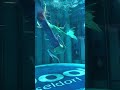 Underwater Dance 😳 Mermaid 🧜🏻‍♀️ Merman - Choreography #shorts