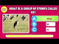 Guess the Animal Quiz Collective Nouns? Guess the collective noun GK Quiz