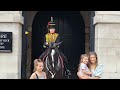 The horses revenge some of the best bites #horseguardsparade