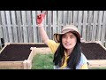 DIY Raised Garden Bed for Beginners Using Planter Blocks (No Nails)