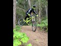 Port Alberni DH track