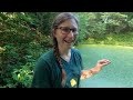 POND CARE - A Dip Into Our Pond