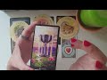 NEXT SURPRISE IN LOVE FOR YOU!💝 Pick a card! 🧡 Timeless tarot reading🎁