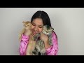 شفا تسبح قطتها الصغيرة كيوت ! ! Shfa bath her kitten