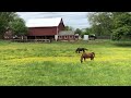 Bucks county PA covid 19 quarantine life