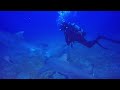 Shark Dive Jupiter Florida July 2019 video #7