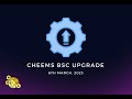 Cheeems Inu suspendeds all BSC withdrawals and deposits and will soon launch Cheems Swap!!