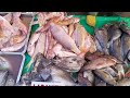 MATINDI ANG TUMPUKAN NG ISDA | MAPAPA- UNLIMITED KA! #malabon #buraotan #fishport #tardunztv #fyp