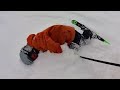 Outdoor Adventure Skiing Family | Brother Sister Rivalry - Siblings Collide