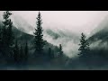 still life in forks - twilight comfort playlist (with rain)