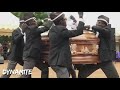 Funniest ANIMAL FIGHTS⚰ COFFIN DANCE MEME #5