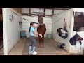 How to Groom a Horse- The Grooming Routine