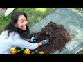 My FIRST EVER Potato Harvest! 🥰❤️ | WA Zone 8b Vlog