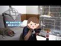 緊急保護した子猫たちを病院に連れて行ったら…