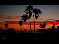 The Sunset VII 🌴 | Summer West coast Instrumental