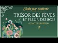 Trésor des fèves et Fleur des bois | histoires du XIXs |  conte pour dormir