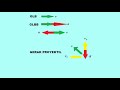Linear, Projectile, Circular Motion