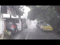 Super Heavy Rain and Beautiful rain in village life | Sleep instantly with the sound of Rain