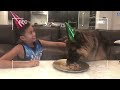 WATCH MY PUPPY GROW | GERMAN SHEPHERD