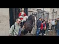 Nippy friendly horse and a close shave for these two tourist's #thekingsguard