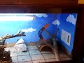 Reptile and Amphibian Room Tour