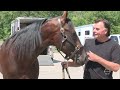 Cambridge Standardbred horse sets a new world record for fastest mile ever