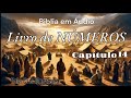 NÚMEROS CAPÍTULO 14 #biblianarradaemaudio