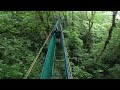 Costa Rica Hanging Bridges