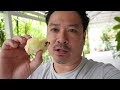 Thailand Vlogs: Durian and Mangosteen