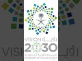 Saudi Arabia Vision 2030 - Healthcare Quality Program 2020