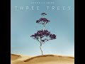 Three Trees