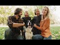 10 HOURS of Dog Calming Music🎵🐶Relaxing music for dogs💖Anti Separation Anxiety Relief🎵 Healing Music