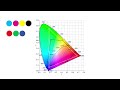The Physics of Color