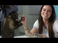 Stoners Get Surprised With A Monkey & Eat Banana Splits