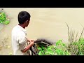 গ্রামের নদীতে ঝাঁকি জাল দিয়ে মাছ ধরা | Fishing with nets in the village river