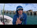 Multi-Species Bridge Fishing The Florida keys - Catch, Clean, Cook On The Water Snapper Snack