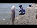 wow bikin rindu spot pinggir pantai wonokerto saling strek gais (youtube palno dieng angler