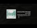 Sam Kužel - Unsolicited Promise (Official Audio)