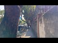 [4K WALK]🇹🇼Taiwan, Taipei 2024! Da'an District & YongKang Street 4K HDR 60fps