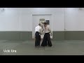 Aikido - Belt exam - 3rd kyu