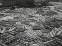 Redwood Lumber Industry, Northern California - 1947