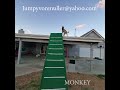 Best Parkour Monkey the Dog